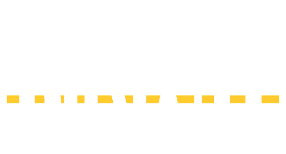 Basix IT